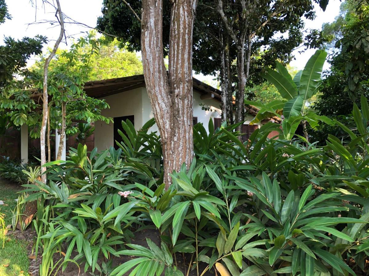 Casa Aracua Trancoso Villa Eksteriør bilde